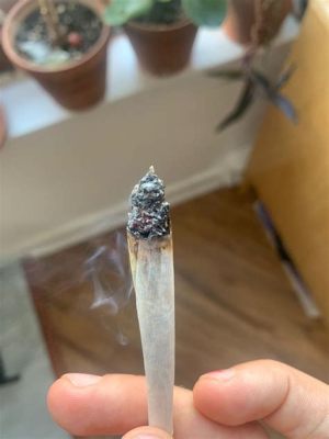 11枝玫瑰花多少錢？談論現代愛情與禮物價值