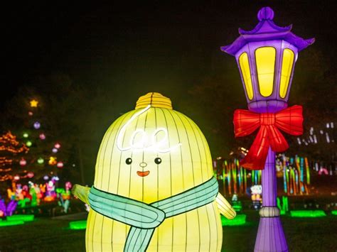 玉合公園裡的燈光祭如何能成為城市的亮點